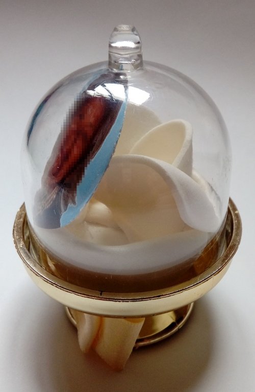 LEMBRANCINHA MINI CÚPULA COM FOTO DO CASAL OU ANIVERSARIANTE - 50 unidades