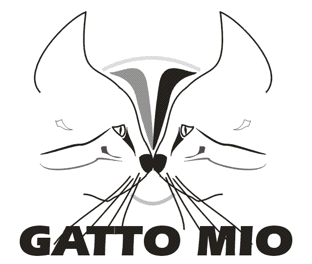 Gatto Mio