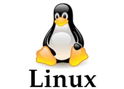 azamerica-king-linux