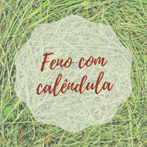 Feno com Calêndula 