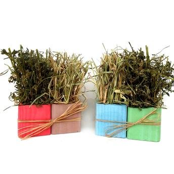 Horticubo