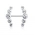 Miniatura - Piercing Mamilo Cluster